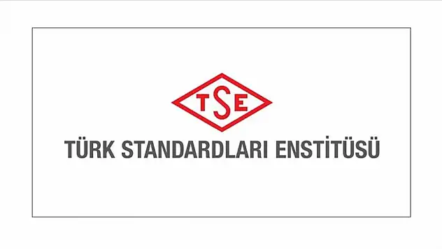 TSE Bilişim Personeli Alacak