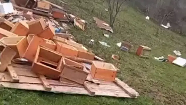 Türkeli'de Fırtına Arıcılığı Vurdu