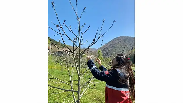 Türkeli'de Hasar Tespit Çalışmaları Başladı