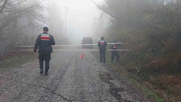Türkeli'de Heyelan Nedeniyle Köy Yolu Ulaşıma Kapandı