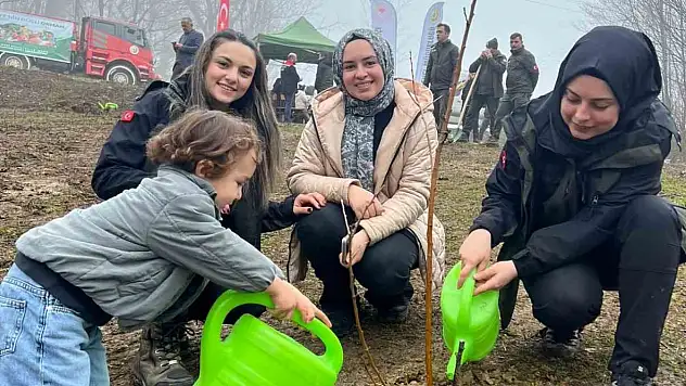 Türkeli'de Yüzlerce Fidan Toprakla Buluştu