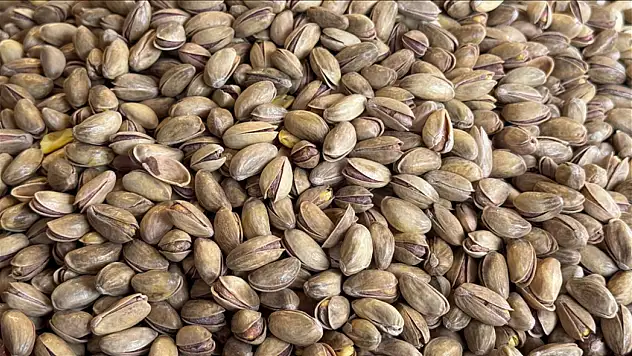 Türkiye, Birinciliği Kimseye Bırakmadı