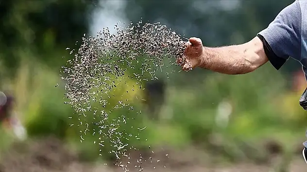 Türkiye'nin Sertifikalı Tohum İhracatı 20 Yılda Yaklaşık 8 Katına Çıktı