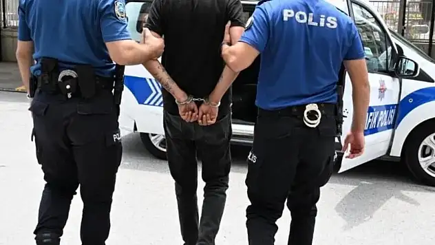 Türkiye'ye Bu Yıl 245 'Suçlu' İade Edildi
