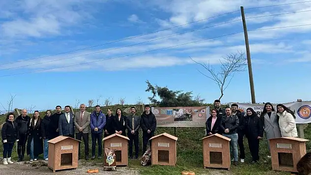 Üniversite Öğrencilerinden Hayvan Barınağına Kulübe