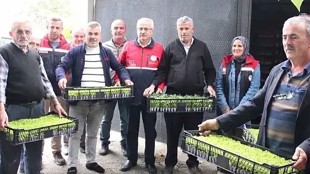 Üreticilere 88 Bin 400 Sebze Fidesi Desteği