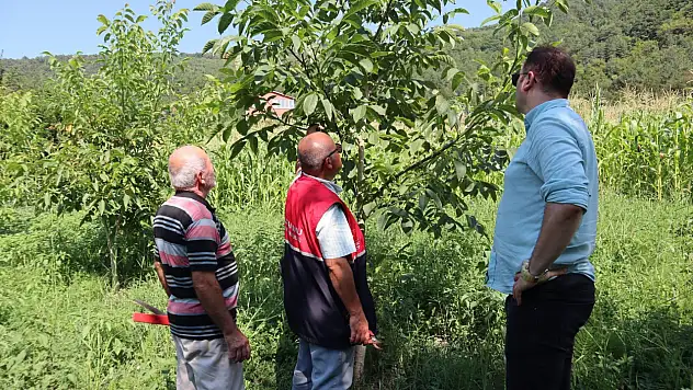 Üreticilere Bahçelerinde Yerinde Tarım Desteği