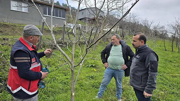 Üreticilere Budama Ve Aşılama Eğitimi Verildi
