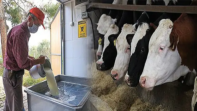 Üreticinin sütten ağzı yandı