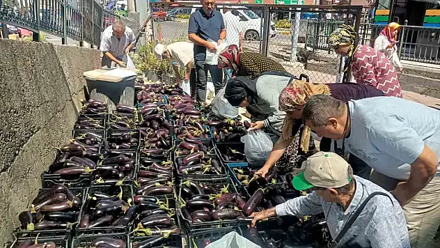 Üretim Fazlası 5 Ton Patlıcanı Yüzlerce Kişiye Bedava Dağıttılar