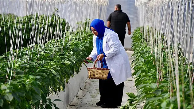 Üretimin Artması İçin Destekler Devam Ediyor