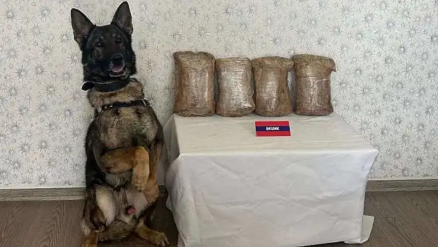 Uyuşturucu Taciri Otobüste Yakalandı