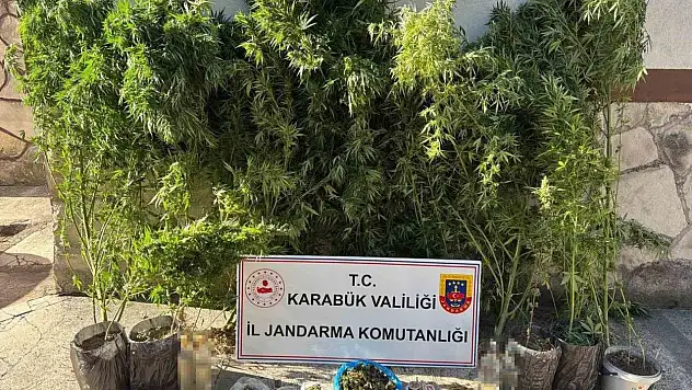 Uyuşturucu ve kaçakçılık operasyonu: 3 kişi gözaltına alındı