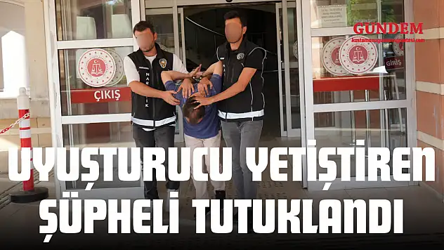 Uyuşturucu Yetiştiren Şüpheli Tutuklandı