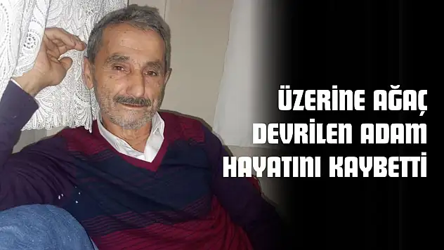 Üzerine Ağaç Devrilen Adam Hayatını Kaybetti