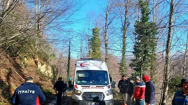 Üzerine Tomruk Devrilen İşçi Yaralandı