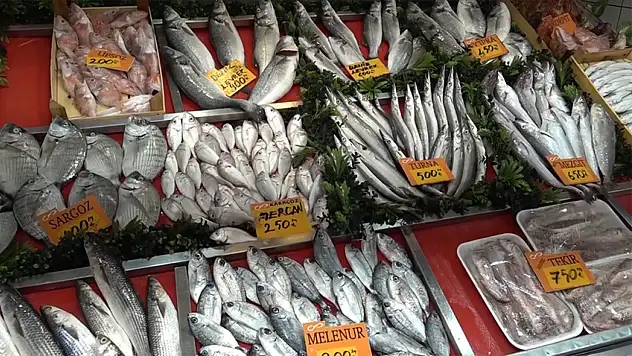 Uzmanından Dip Balık Önerisi