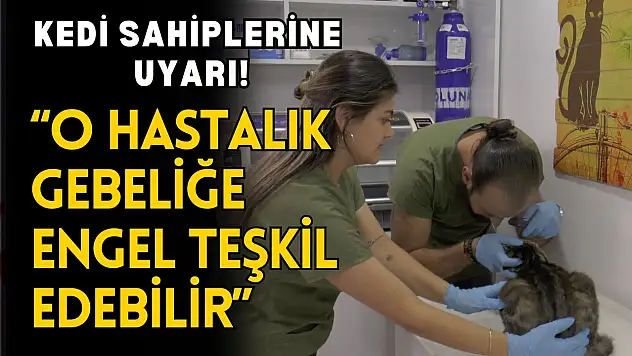 Uzmanından Kedi Sahiplerine 'Toksoplazma' Uyarısı!