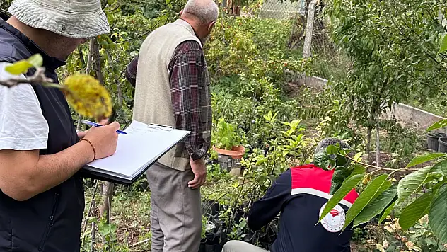 Üzüm Bağları Tek Tek Kontrolden Geçiriliyor