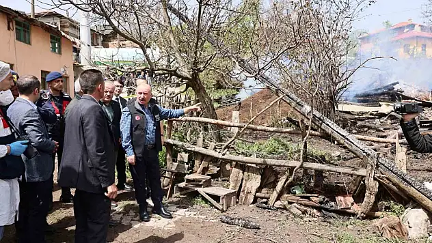 Vali Ali Çalgan, Yangın Bölgesini Ziyaret Etti