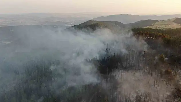 Vali Taşolar, Orman Yangınını İhbar Eden Çocuğa Teşekkür Etti