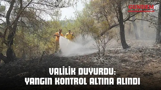Valilik Duyurdu: Yangın Kontrol Altına Alındı