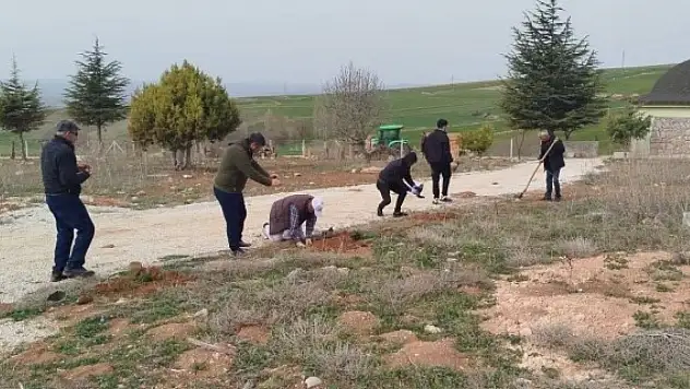 Vatandaşlar Bir Araya Gelip Köylerine Fidan Diktiler