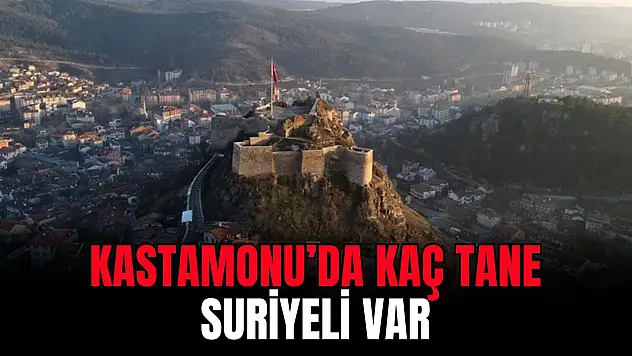 Veriler Güncellendi, İşte Kastamonu'daki Suriyeli Sayısı