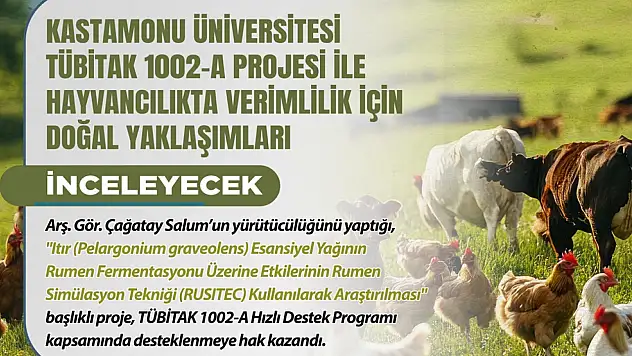 Verimlilik İçin Doğal Yaklaşımlar İncelenecek