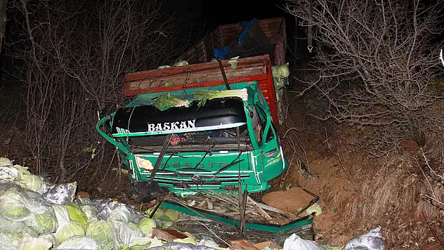 Virajı alamayan kamyon tarlaya uçtu