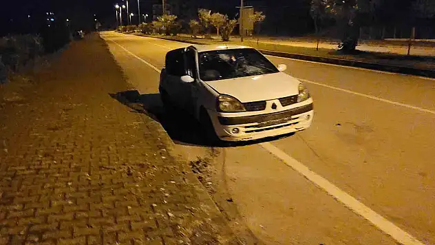 Otomobil Ağaca Çarptı