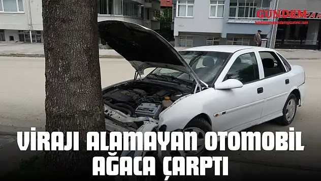 Virajı Alamayan Otomobil Ağaca Çarptı
