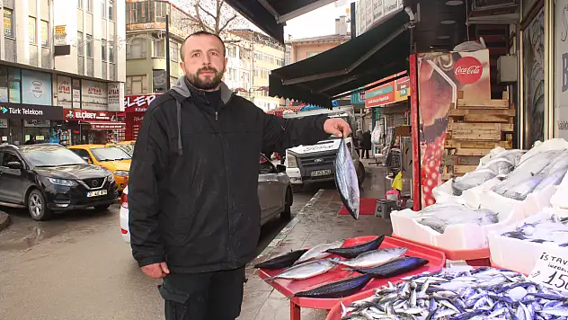 Vitamin Deposu Balıklar