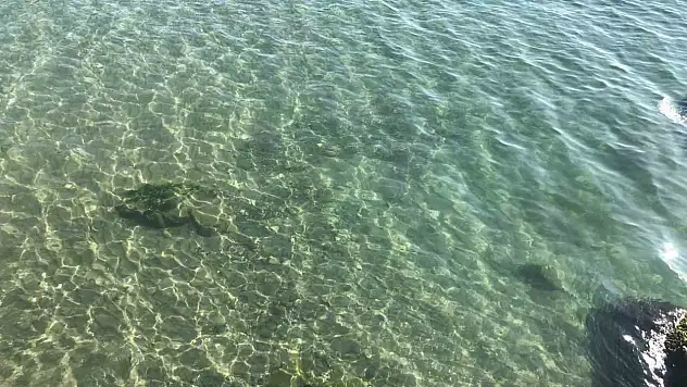 Yakıt Dökülen Deniz Temizlendi