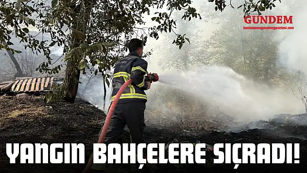 Yangın Bahçelere Sıçradı!