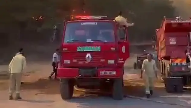 Yangın Bölgelerine Kastamonu'dan Destek