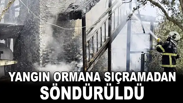 Yangın Ormana Sıçramadan Söndürüldü