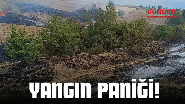Yangın Paniği!