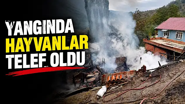 Yangında Hayvanlar Telef Oldu
