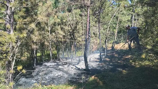 Yangınlar büyümeden söndürüldü