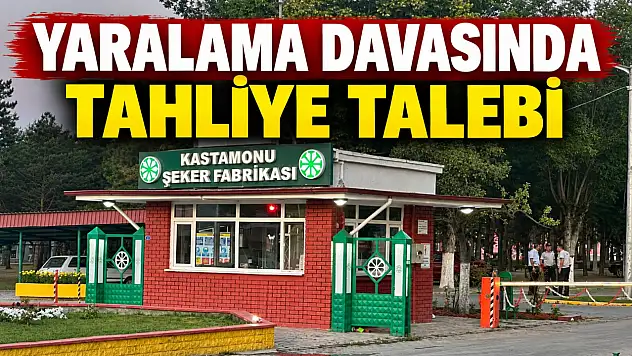 Yaralama Davasında Tahliye Talebi