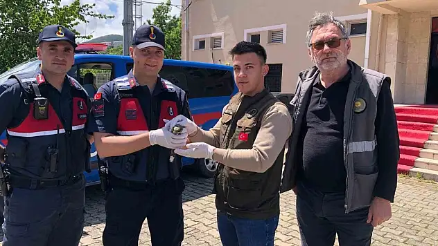 Yaralı Çobanaldatan Kuşu Tedavi Altına Alındı