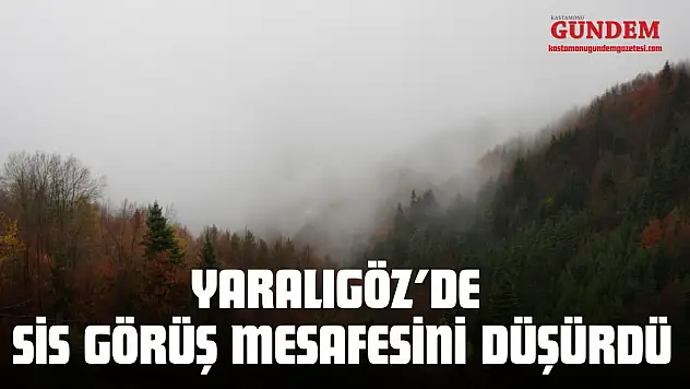 Yaralıgöz'de Sis Görüş Mesafesini Düşürdü