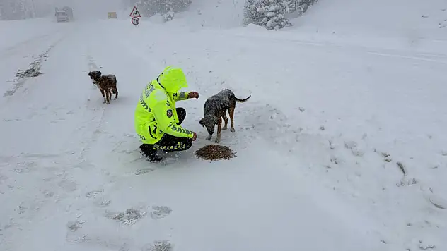 Yardım Eli Uzatıldı