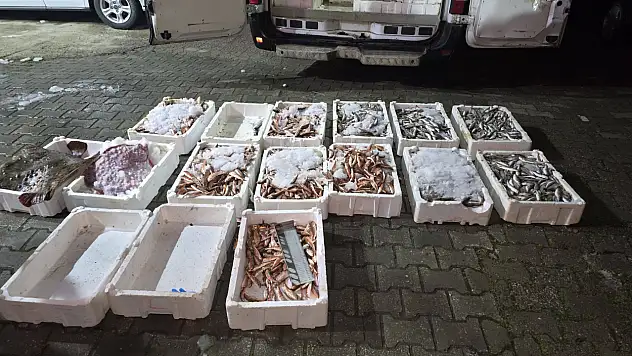 Yasa Dışı Avcılığa Geçit Yok