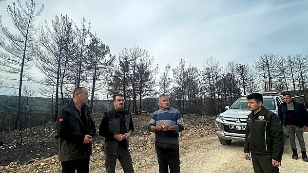 Yaslıkaya'dan Yangın Bölgesinde İnceleme