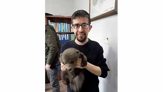Yavru Ayı Koruma Altına Alındı