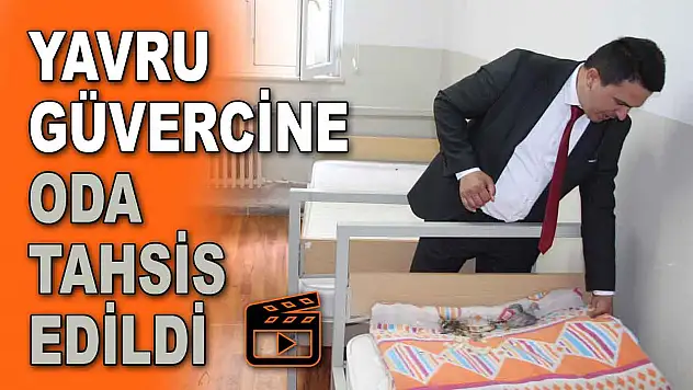 Yavru Güvercine Oda Tahsis Edildi