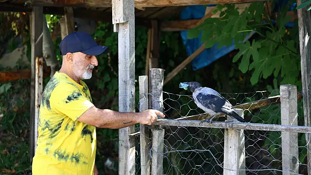 Yavru Kargayla Kurulan Bağ Dostluğa Dönüştü