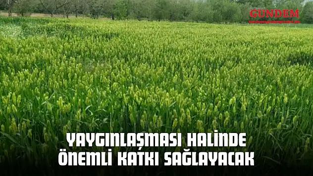Yaygınlaşması Halinde Önemli Katkı Sağlayacak